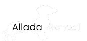 «Аллада» Сеть Языковых школ