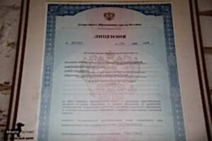 231A2846